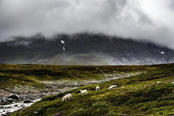 Quel est le tarif du zoo de la Flèche ?